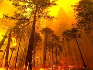 ΕΚΤΑΚΤΟ: Πύρινη λαίλαπα και στον Κάλαμο Αττικής - Καίγονται σπίτια